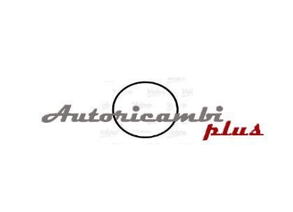 slika 4764764-Gumica pumpe rashladne tečnosti  Fiat Croma 2.5 TD- Ducato 2.5 D-TD-Lancia Thema 2.5 TD