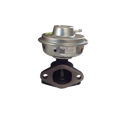 slika 0309DM0210N-EGR Ventil Mahindra MHAWK EIII  Goa EGR Ventil  2.2 CRDe