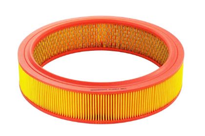 slika AR409-Filter vazduha Fiat Doblo Fiat Punto -zamenski rezervni deo